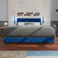 Load image into Gallery viewer, Adana Blue Velvet Bed With Diamonds